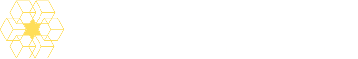 Raj Kapoor Das — Website Designer & SEO Expert in Agra